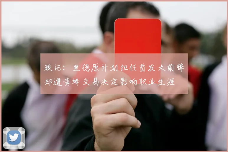 狼记：里德原计划担任首发大前锋却遭黄蜂交易决定影响职业生涯